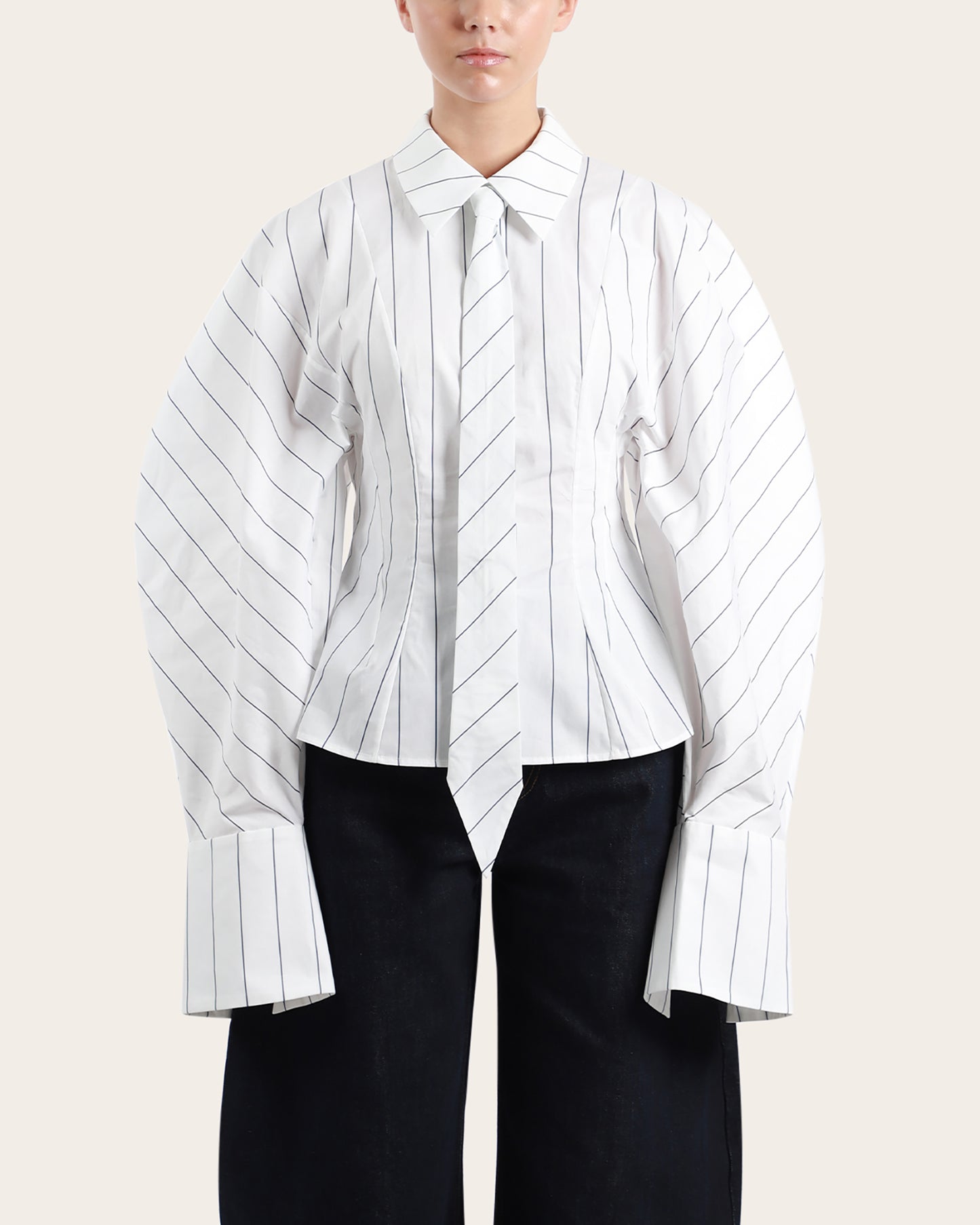 Puff Sleeve Shirt