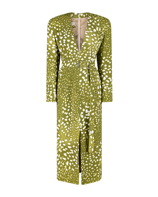 Dohana Print Dress