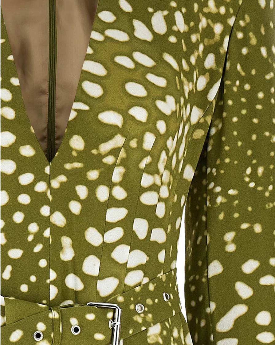 Dohana Print Dress