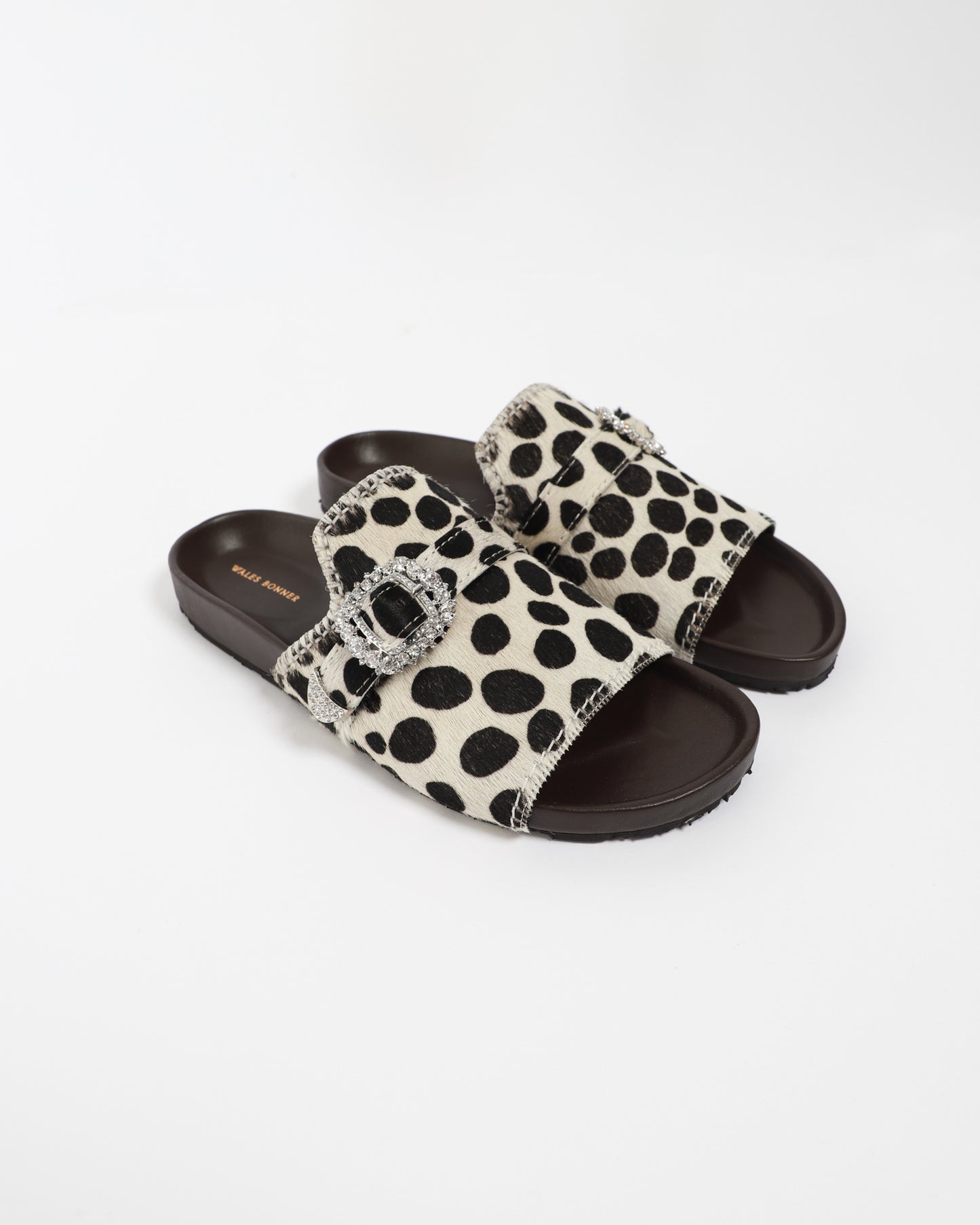 Buckle Slides