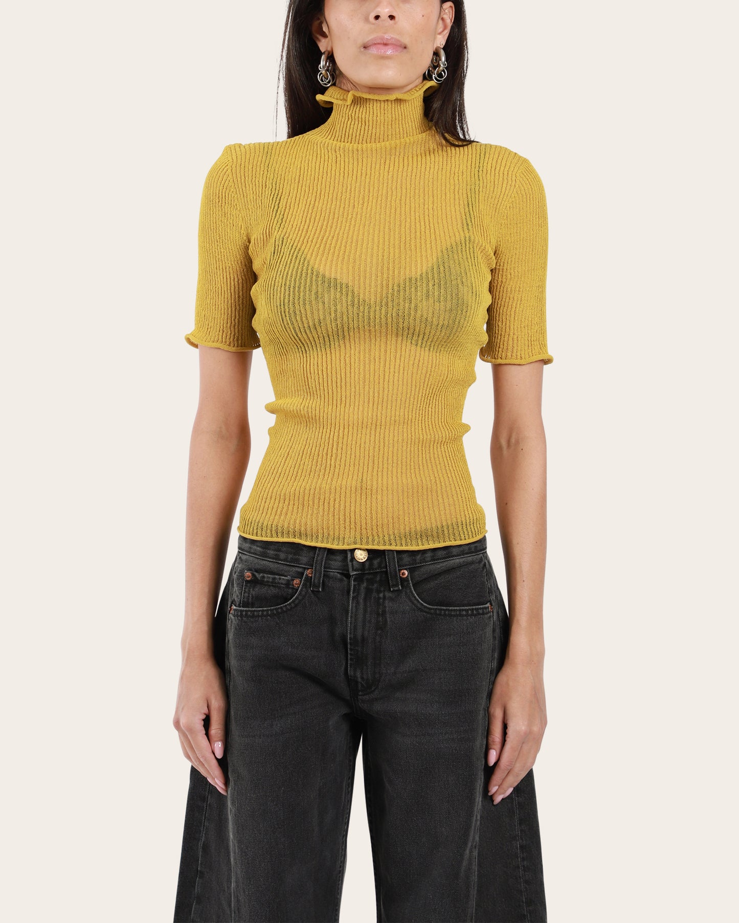 Sheer Turtleneck