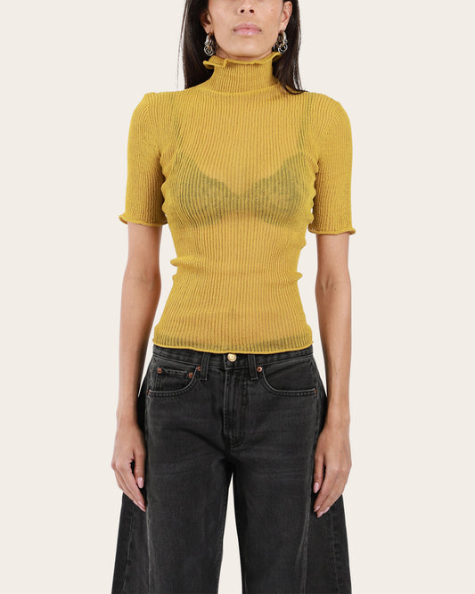 Sheer Turtleneck