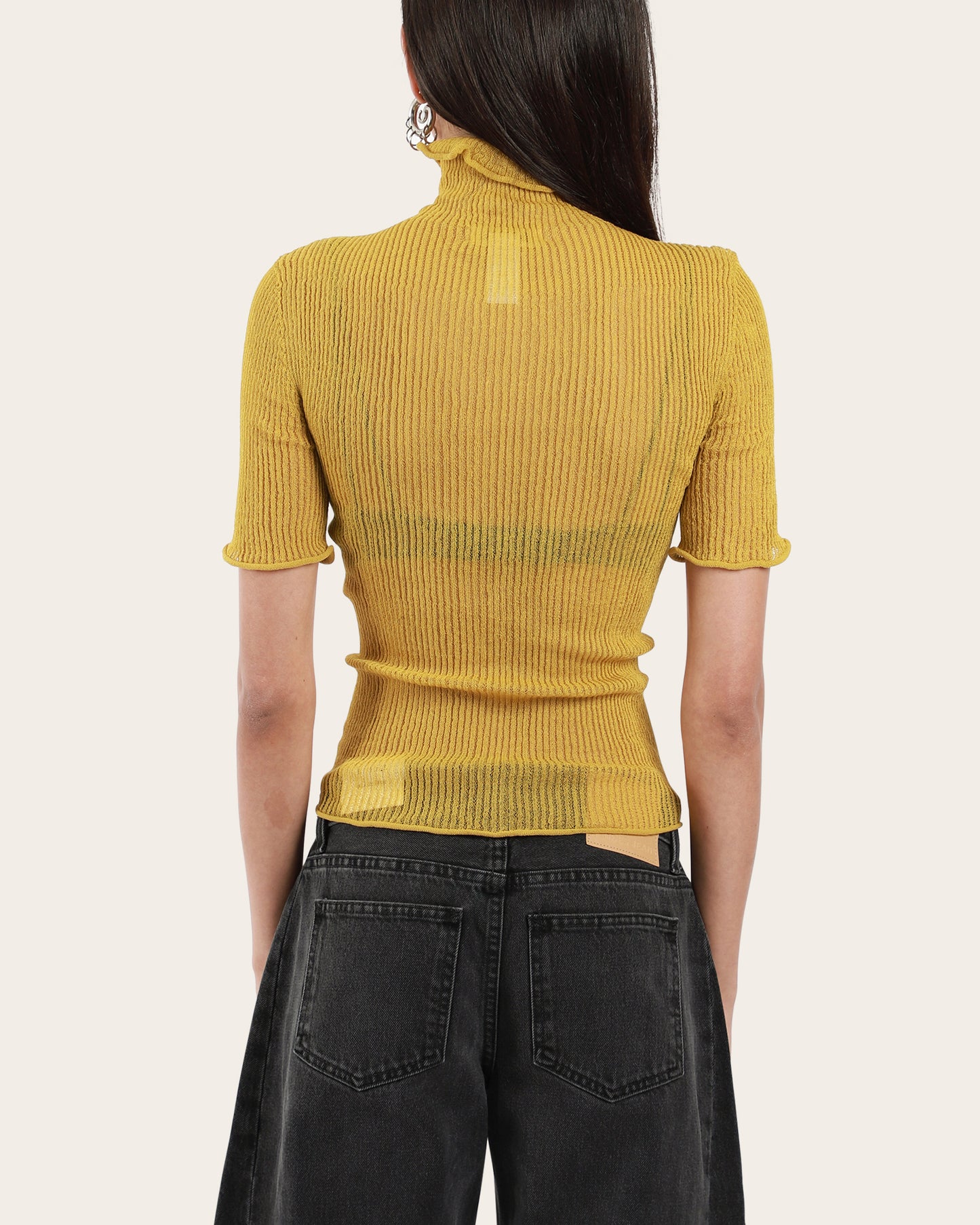 Sheer Turtleneck