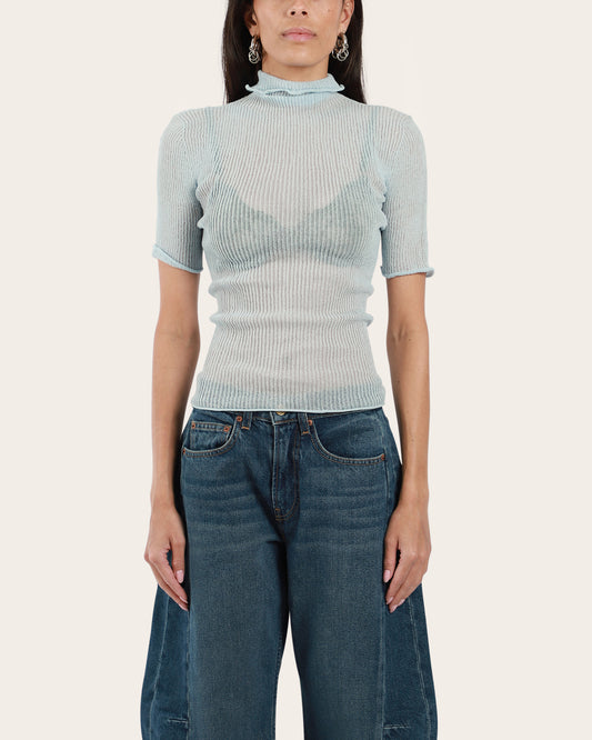 Sheer Turtleneck
