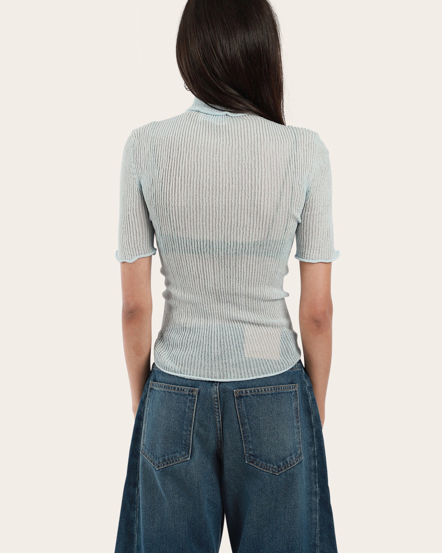 Sheer Turtleneck