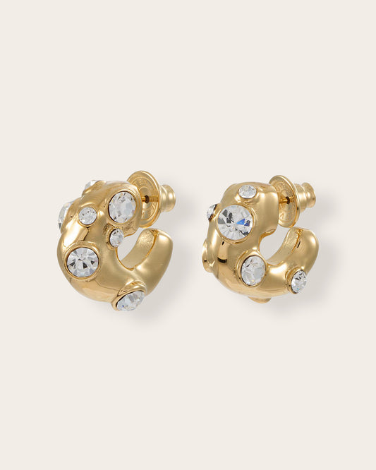 Crystal Form Earrings