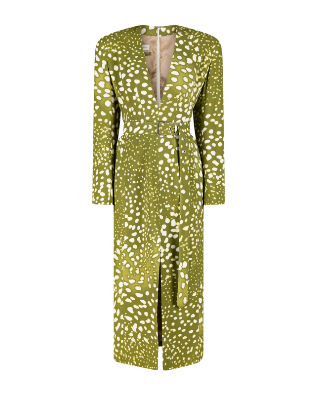 Dohana Print Dress