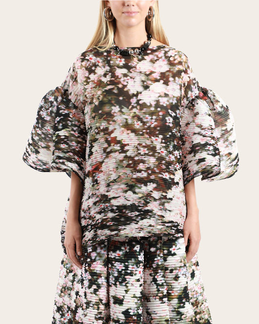 Robin Blouse