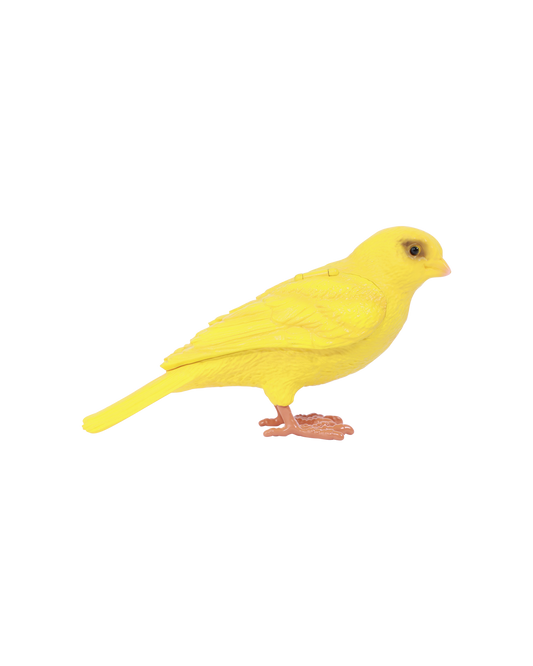 Canary Clutch