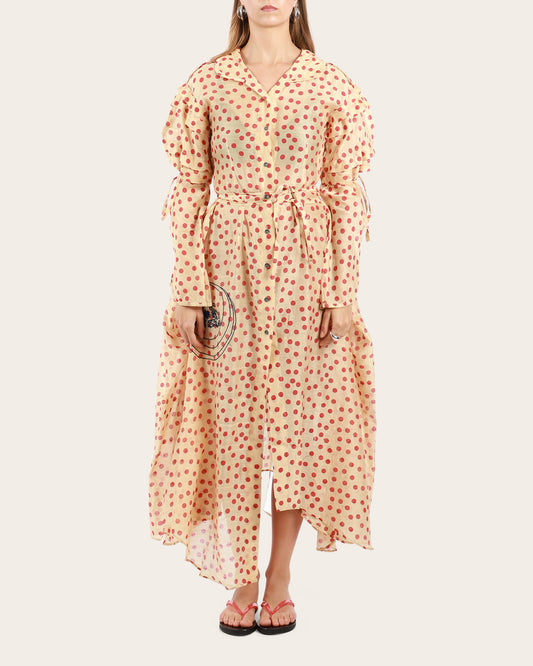 Dot Rucha Dress