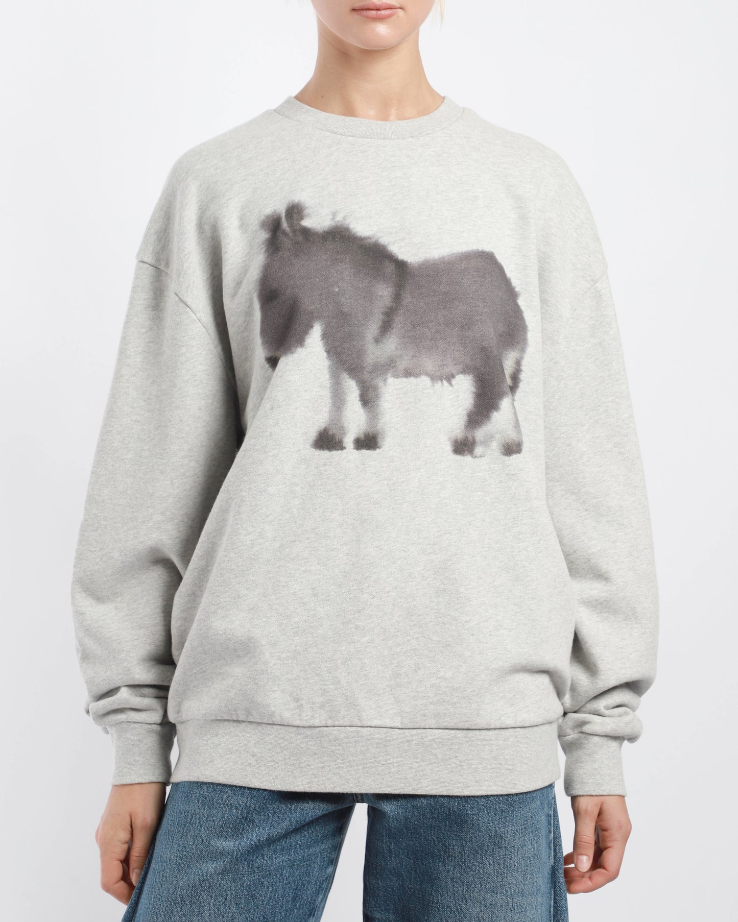 Donkey Sweater