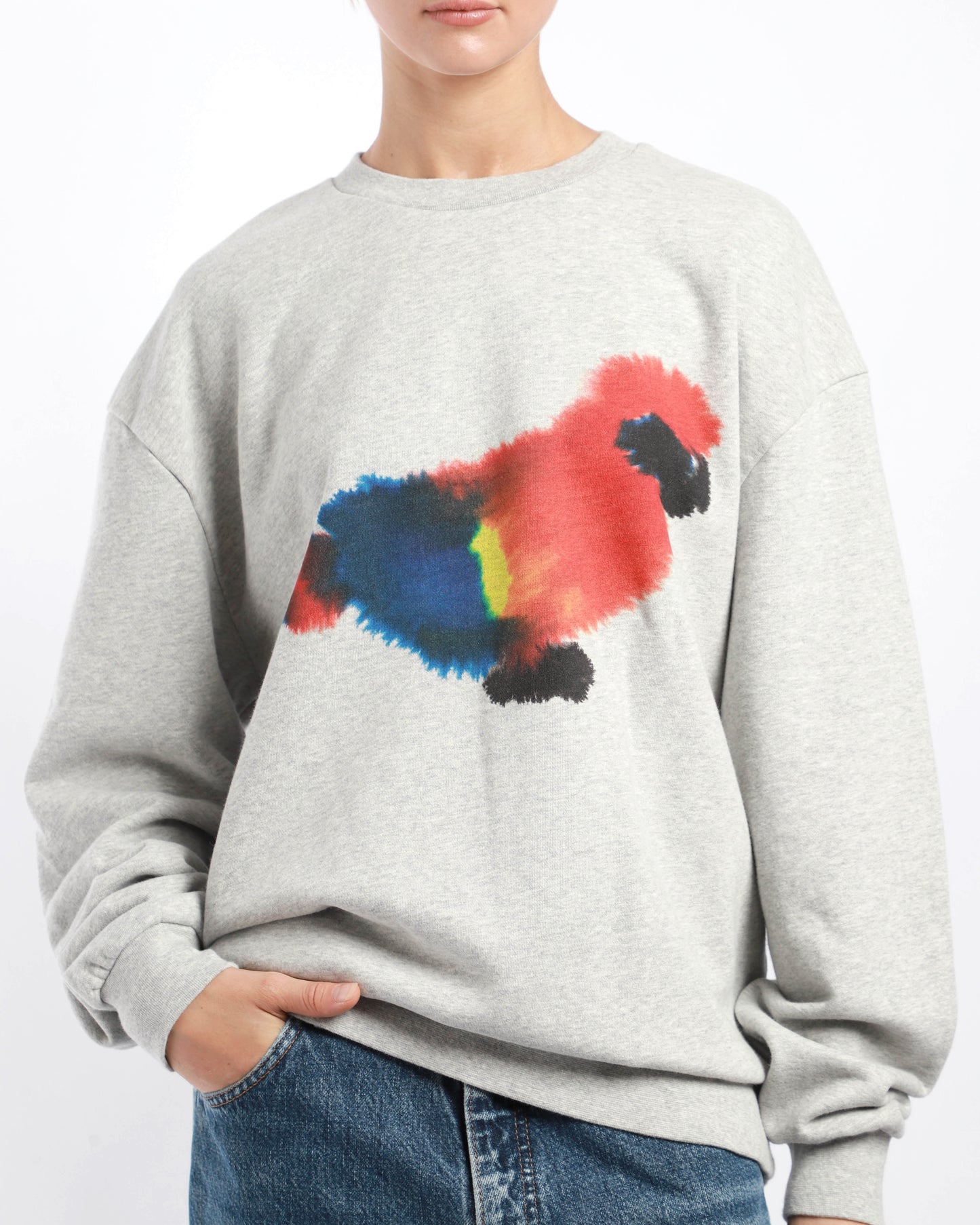 Parrot Sweater